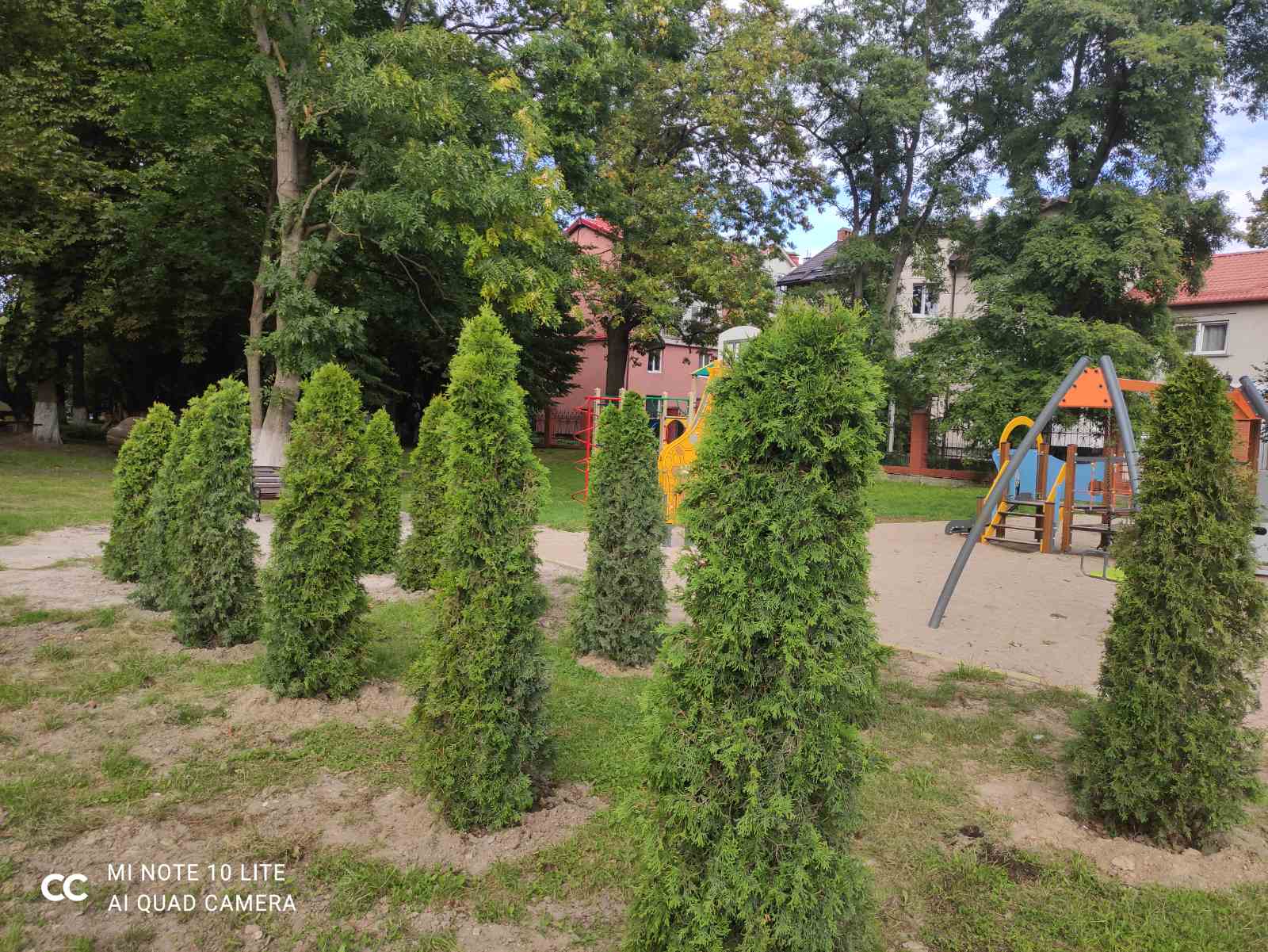 СУбботник в рамках эколого-патриотического проекта «Лес Победы»
